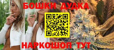 крисы Аргун