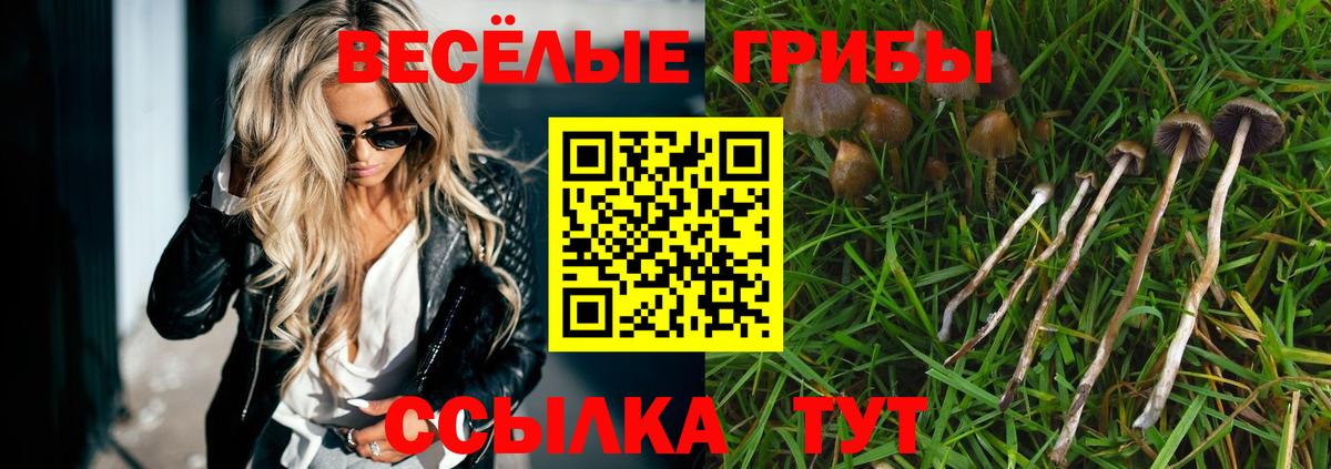 Галлюциногенные грибы мухоморы  Вход с VPN  Псилоцибиновые грибы Psilocybine cubensis  Волгодонск 
